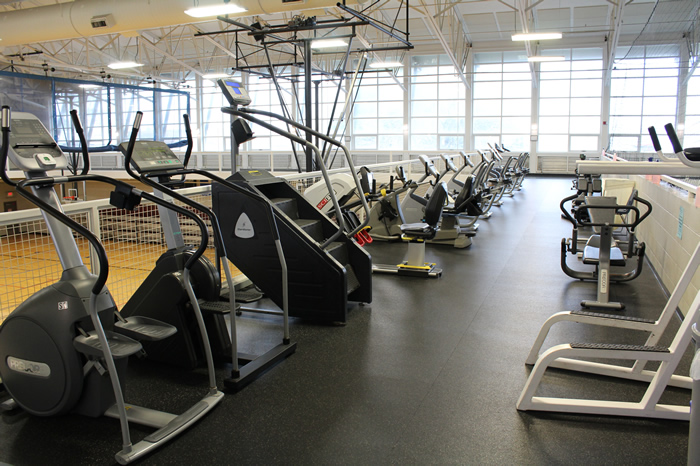 Cardio Equipment
